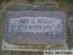 Amy G Biggs