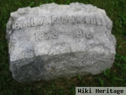 Emil A. F. Hetschel