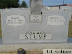 David Stump