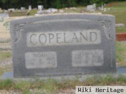 Louisa M Copeland