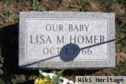 Lisa M Homer