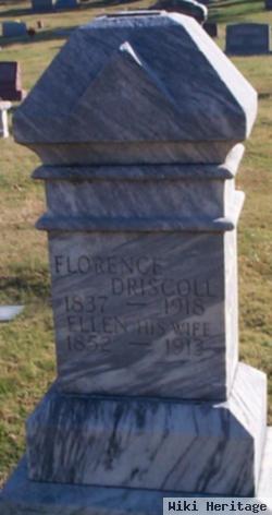 Ellen Brown Driscoll