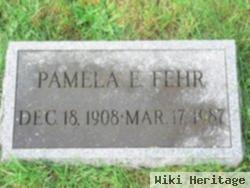 Pamela E Fehr