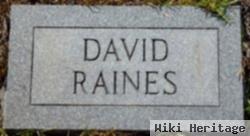 David Raines