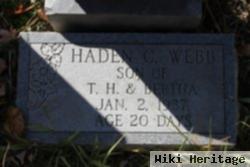 Haden C Webb