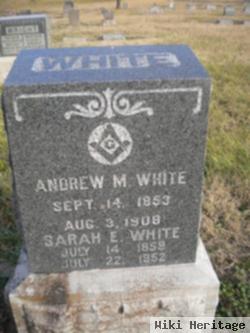 Andrew M White