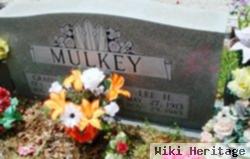 Lee H. Mulkey