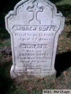 Mrs Winifred Duffy