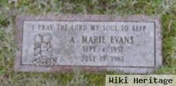 Anna Marie Evans