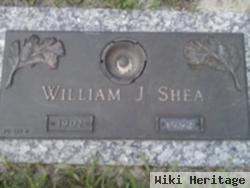 William J Shea