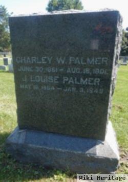 Charley W Palmer