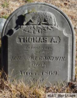 Thomas A. Goodwin