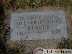 Josie Norien Carlson Hornstein