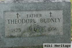 Theodore Budney