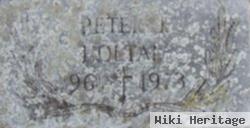 Peter J Holtan