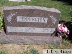 Wayne J Pennington