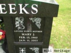 Mary J Meeks