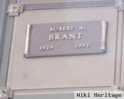 Robert A Brant