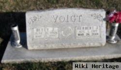 Herbert Jack "herb" Voigt