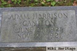Adam Harrison Cantlon