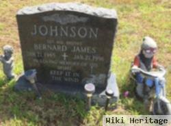 Bernard James "b.j." Johnson