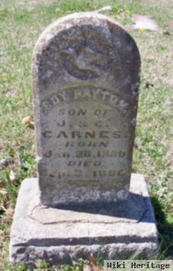 Roy Patton Carnes