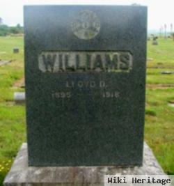 Lloyd D Williams