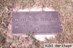 Pansey Gail Wachter