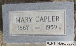 Mary Ann Wilton Capler