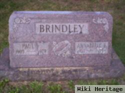 Paul F Brindley