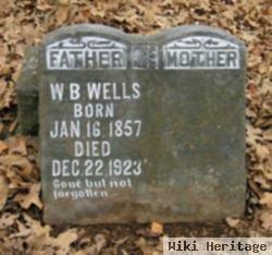 Sarah Ann Alexander Wells