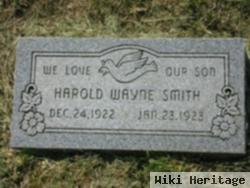 Harold Wayne Smith