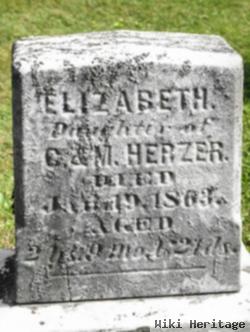 Elizabeth Herzer