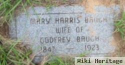 Mary Susan Harris Baugh