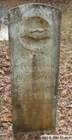 Elizabeth Ann Billingsley Holland