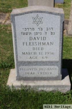 David Fleishman