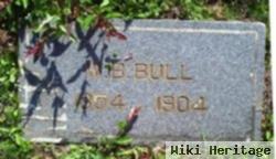 William Basil "willie" Bull