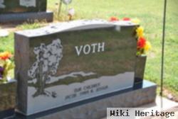 Terry L Voth