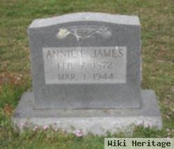 Annie E. Rogers James