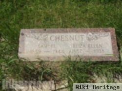 Samuel Chesnut