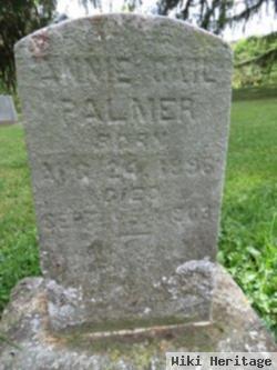 Annie Gail Palmer