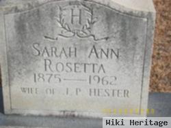 Sarah Ann Rosetta Massey Hester