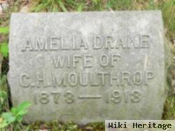 Amelia Drake Moulthrop