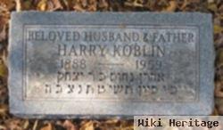 Harry Koblin