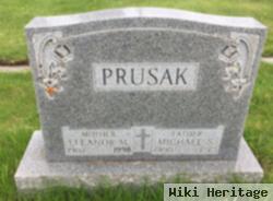 Michael S. Prusak