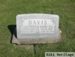 David Ted Davis