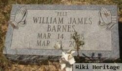 William James Barnes