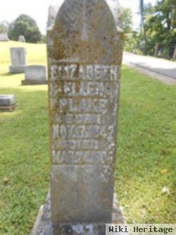 Elizabeth Ellen Fields Plake