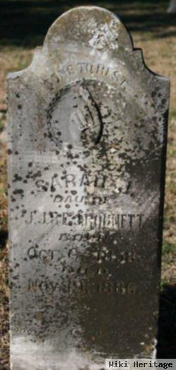 Sarah J Robnett