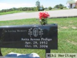 Anita Pedigo